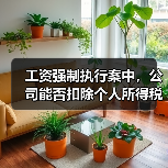 工资强制执行案中,公司能否扣除个人所得税?(图2) 工资强制执行案中,公司能否扣除个人所得税?(图2)