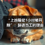 “上班睡觉1小时被开除”:辞退员工的理由越来越离谱了!(图1) “上班睡觉1小时被开除”:辞退员工的理由越来越离谱了!(图1)