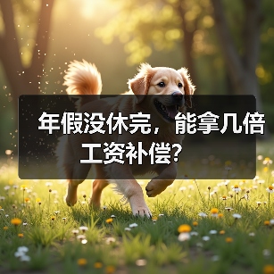 年假没休完,能拿几倍工资补偿?(图2) 年假没休完,能拿几倍工资补偿?(图2)