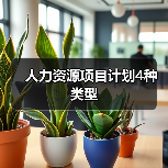 人力资源项目计划4种类型(图4) 人力资源项目计划4种类型(图4)