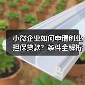 小微企业如何申请创业担保贷款?条件全解析(图3) 小微企业如何申请创业担保贷款?条件全解析(图3)