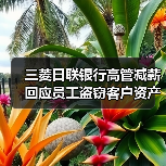 三菱日联银行高管减薪回应员工盗窃客户资产丑闻(图3) 三菱日联银行高管减薪回应员工盗窃客户资产丑闻(图3)