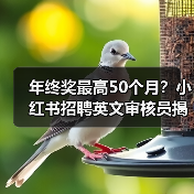 年终奖最高50个月?小红书招聘英文审核员揭秘职场新政(图2) 年终奖最高50个月?小红书招聘英文审核员揭秘职场新政(图2)