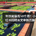 年终奖最高50个月?小红书招聘英文审核员揭秘职场新政(图1) 年终奖最高50个月?小红书招聘英文审核员揭秘职场新政(图1)