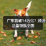 广东首破14万亿?经济总量领跑全国(图4) 广东首破14万亿?经济总量领跑全国(图4)