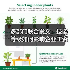 多部门联合发文:技能等级如何影响企业工资分配?(图2) 多部门联合发文:技能等级如何影响企业工资分配?(图2)