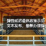 弹性延迟退休政策示范文本发布,最新办理指南详解(图4) 弹性延迟退休政策示范文本发布,最新办理指南详解(图4)