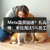 Meta裁员加速?扎克伯格:末位淘汰5%员工(图4) Meta裁员加速?扎克伯格:末位淘汰5%员工(图4)
