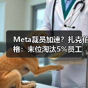 Meta裁员加速?扎克伯格:末位淘汰5%员工(图1) Meta裁员加速?扎克伯格:末位淘汰5%员工(图1)