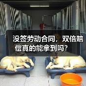 没签劳动合同,双倍赔偿真的能拿到吗?(图2) 没签劳动合同,双倍赔偿真的能拿到吗?(图2)