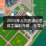 2025年人力资源动态:员工福利升级、生育补贴与挑战(图2) 2025年人力资源动态:员工福利升级、生育补贴与挑战(图2)
