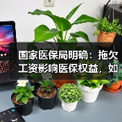 国家医保局明确:拖欠工资影响医保权益,如何保障?(图3) 国家医保局明确:拖欠工资影响医保权益,如何保障?(图3)