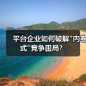 平台企业如何破解 平台企业如何破解