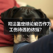 司法鉴定结论能否作为工伤待遇的依据？（图4）