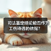司法鉴定结论能否作为工伤待遇的依据？（图1）