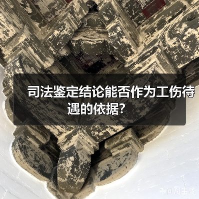 司法鉴定结论能否作为工伤待遇的依据？（图2）