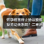 怀孕后签终止协议能恢复劳动关系吗?二审判决引发争议(图4) 怀孕后签终止协议能恢复劳动关系吗?二审判决引发争议(图4)