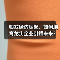 银发经济崛起,如何培育龙头企业引领未来?(图1) 银发经济崛起,如何培育龙头企业引领未来?(图1)