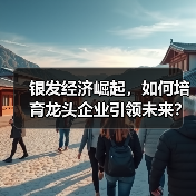银发经济崛起,如何培育龙头企业引领未来?(图4) 银发经济崛起,如何培育龙头企业引领未来?(图4)