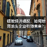 银发经济崛起,如何培育龙头企业引领未来?(图2) 银发经济崛起,如何培育龙头企业引领未来?(图2)