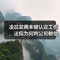 凌晨发病未被认定工伤,法院为何判公司赔偿36万?(图3) 凌晨发病未被认定工伤,法院为何判公司赔偿36万?(图3)