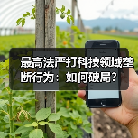 最高法严打科技领域垄断行为:如何破局?(图2) 最高法严打科技领域垄断行为:如何破局?(图2)
