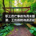 职工伤亡事故当月未缴费,工伤保险待遇还能享受吗?(图2) 职工伤亡事故当月未缴费,工伤保险待遇还能享受吗?(图2)
