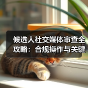 候选人社交媒体审查全攻略:合规操作与关键注意事项(图3) 候选人社交媒体审查全攻略:合规操作与关键注意事项(图3)