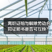 离职证明与解除劳动合同证明书是否可互换?人社部解答(图2) 离职证明与解除劳动合同证明书是否可互换?人社部解答(图2)