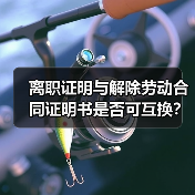 离职证明与解除劳动合同证明书是否可互换?人社部解答(图4) 离职证明与解除劳动合同证明书是否可互换?人社部解答(图4)