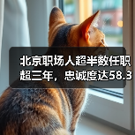 北京职场人超半数任职超三年,忠诚度达58.37%(图2) 北京职场人超半数任职超三年,忠诚度达58.37%(图2)