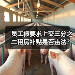 员工被要求上交三分之二租房补贴是否违法?法院判决给出答案(图3) 员工被要求上交三分之二租房补贴是否违法?法院判决给出答案(图3)