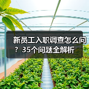 新员工入职调查怎么问？35个问题全解析（图2）