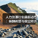 人力资源行业最新动态:薪酬调整与低空经济发展(图1) 人力资源行业最新动态:薪酬调整与低空经济发展(图1)