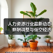 人力资源行业最新动态:薪酬调整与低空经济发展(图3) 人力资源行业最新动态:薪酬调整与低空经济发展(图3)