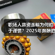 职场人薪资涨幅为何趋于谨慎?2025年薪酬趋势解析(图3) 职场人薪资涨幅为何趋于谨慎?2025年薪酬趋势解析(图3)