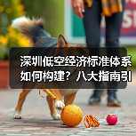 深圳低空经济标准体系如何构建？八大指南引领发展（图1）