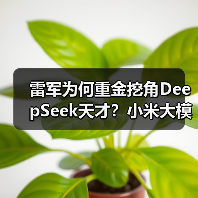 雷军为何重金挖角DeepSeek天才？小米大模型布局再升级（图1）