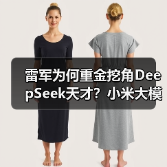 雷军为何重金挖角DeepSeek天才？小米大模型布局再升级（图3）