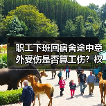 职工下班回宿舍途中意外受伤是否算工伤?权威案例解析(图2) 职工下班回宿舍途中意外受伤是否算工伤?权威案例解析(图2)