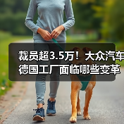 裁员超3.5万!大众汽车德国工厂面临哪些变革?(图2) 裁员超3.5万!大众汽车德国工厂面临哪些变革?(图2)