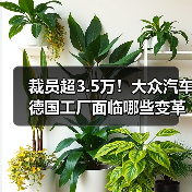 裁员超3.5万!大众汽车德国工厂面临哪些变革?(图3) 裁员超3.5万!大众汽车德国工厂面临哪些变革?(图3)