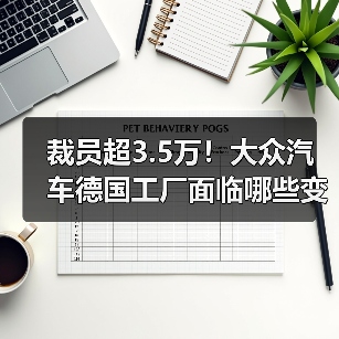 裁员超3.5万!大众汽车德国工厂面临哪些变革?(图4) 裁员超3.5万!大众汽车德国工厂面临哪些变革?(图4)