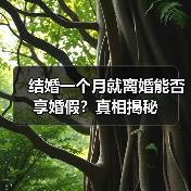 结婚一个月就离婚能否享婚假?真相揭秘(图2) 结婚一个月就离婚能否享婚假?真相揭秘(图2)