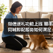 微信送礼功能上线 顺丰同城即配服务如何满足送礼需求?(图2) 微信送礼功能上线 顺丰同城即配服务如何满足送礼需求?(图2)