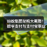 蚂蚁集团架构大调整!数字支付与支付宝事业群成立,轮值总裁制将如何影响未来?(图2) 蚂蚁集团架构大调整!数字支付与支付宝事业群成立,轮值总裁制将如何影响未来?(图2)