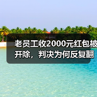 老员工收2000元红包被开除,判决为何反复翻转?(图3) 老员工收2000元红包被开除,判决为何反复翻转?(图3)