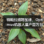 特斯拉招聘加速,Optimus机器人量产百万台计划曝光(图1) 特斯拉招聘加速,Optimus机器人量产百万台计划曝光(图1)