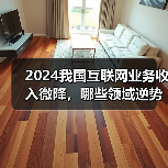 2024我国互联网业务收入微降,哪些领域逆势增长?(图2) 2024我国互联网业务收入微降,哪些领域逆势增长?(图2)