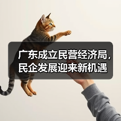 广东成立民营经济局,民企发展迎来新机遇(图2) 广东成立民营经济局,民企发展迎来新机遇(图2)